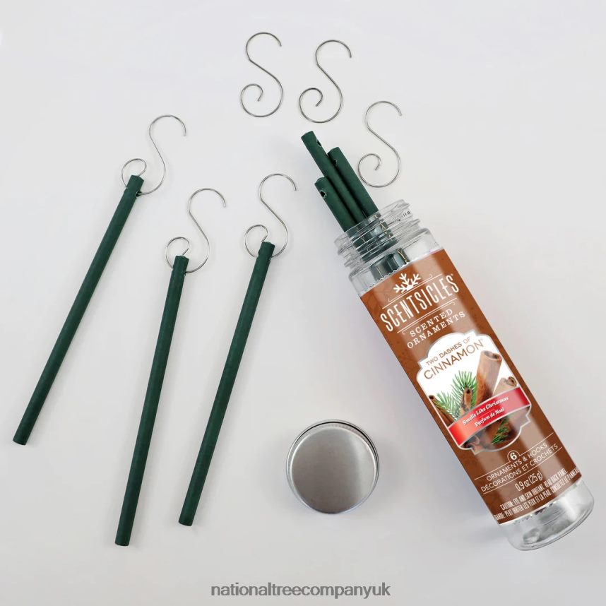 decoration | National Tree Company Scented Ornaments 2-Pack- 6ct Bottle 2 Dashes of Cinnamon Fragrance-Infused Paper Sticks F2L4F546